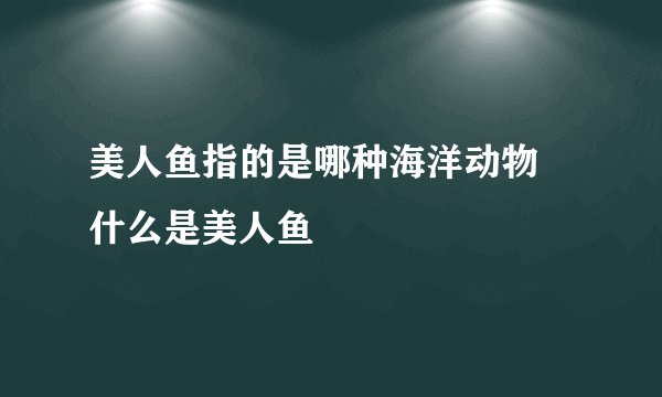 美人鱼指的是哪种海洋动物 什么是美人鱼
