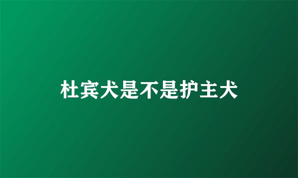 杜宾犬是不是护主犬