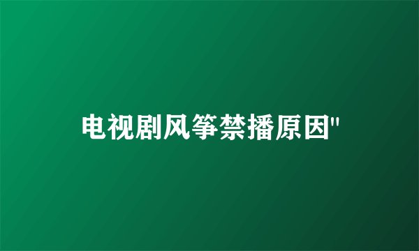 电视剧风筝禁播原因