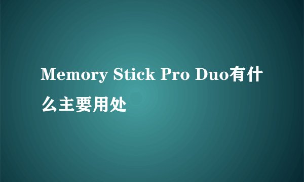 Memory Stick Pro Duo有什么主要用处