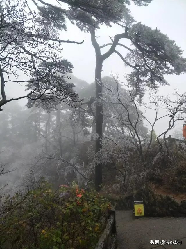 黄山后杭州西湖游客又人满为患,你有什么观点,你怎么看?