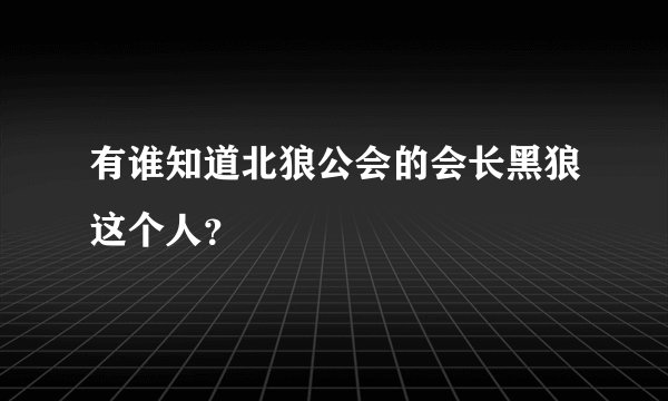 有谁知道北狼公会的会长黑狼这个人？