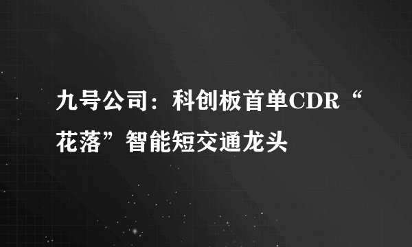 九号公司：科创板首单CDR“花落”智能短交通龙头