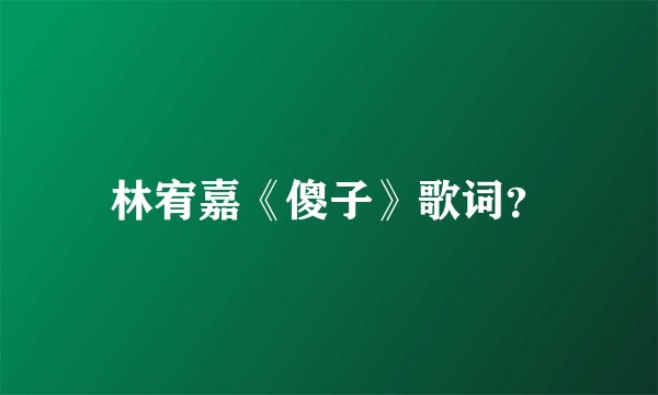 林宥嘉《傻子》歌词?