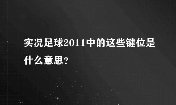 实况足球2011中的这些键位是什么意思？