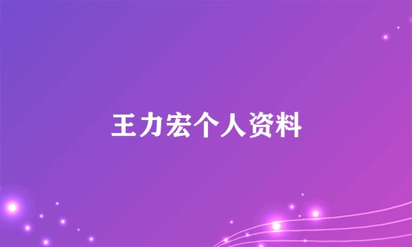 王力宏个人资料