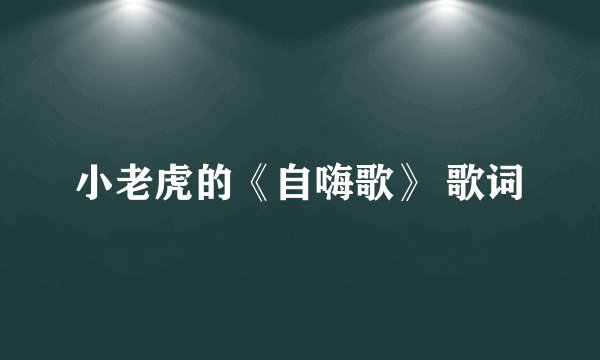 小老虎的《自嗨歌》 歌词