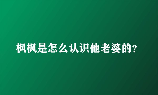 枫枫是怎么认识他老婆的？
