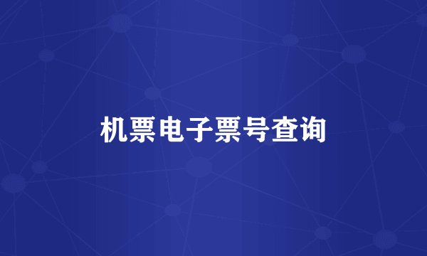 机票电子票号查询