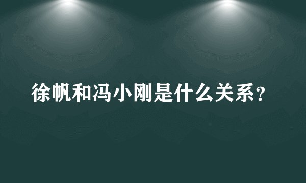 徐帆和冯小刚是什么关系？