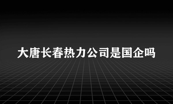 大唐长春热力公司是国企吗