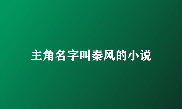 主角名字叫秦风的小说