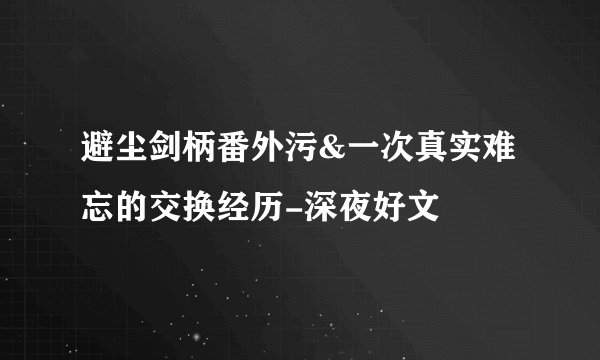 避尘剑柄番外污&一次真实难忘的交换经历-深夜好文