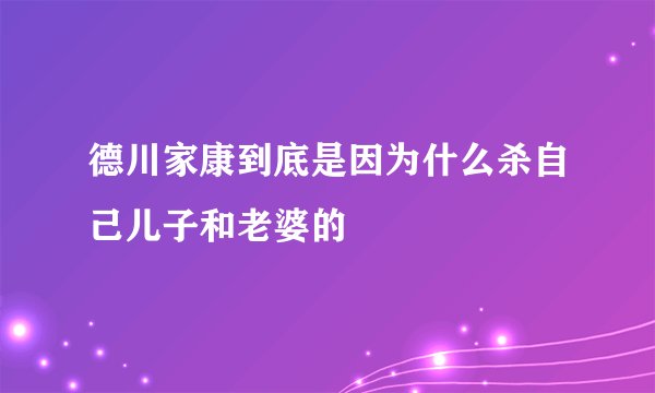 德川家康到底是因为什么杀自己儿子和老婆的