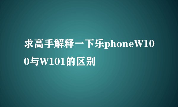 求高手解释一下乐phoneW100与W101的区别