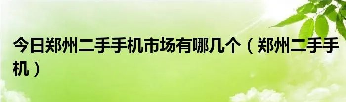 今日郑州二手手机市场有哪几个（郑州二手手机）