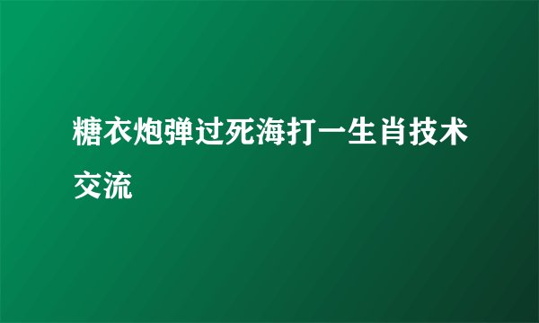 糖衣炮弹过死海打一生肖技术交流