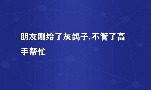 朋友刚给了灰鸽子.不管了高手帮忙