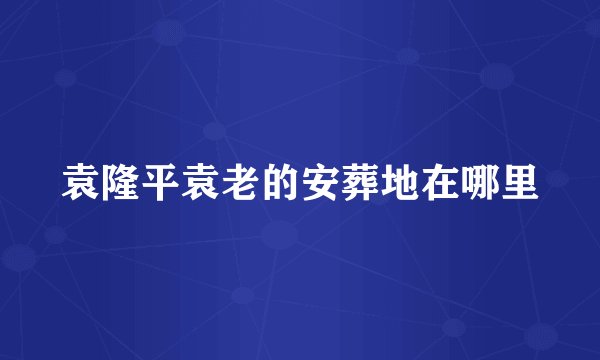 袁隆平袁老的安葬地在哪里