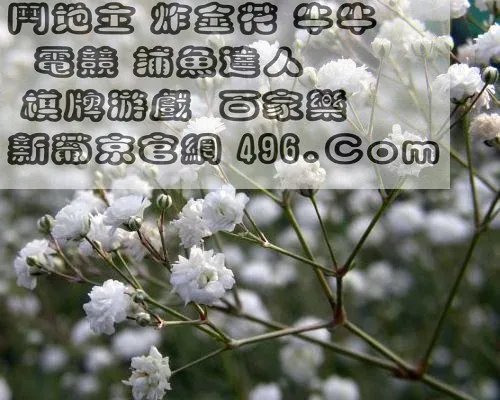 彩乐乐提现一般需要多长时间啊？谢谢