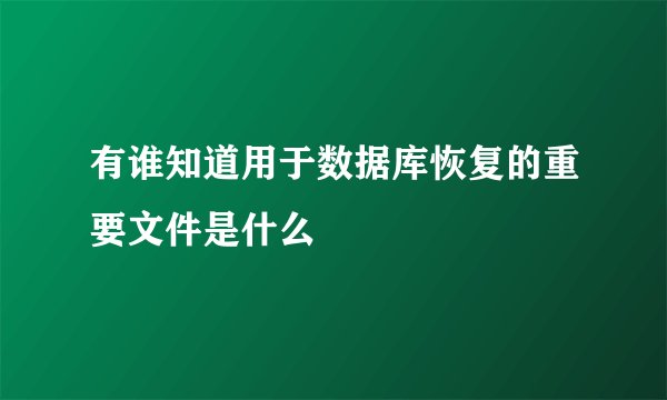有谁知道用于数据库恢复的重要文件是什么