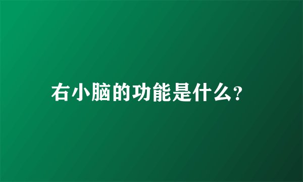 右小脑的功能是什么？