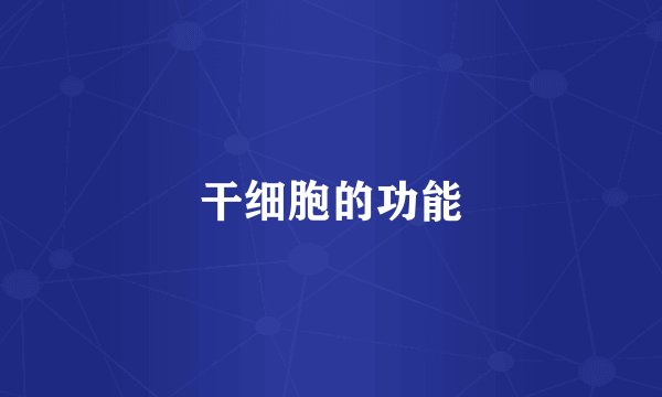 干细胞的功能