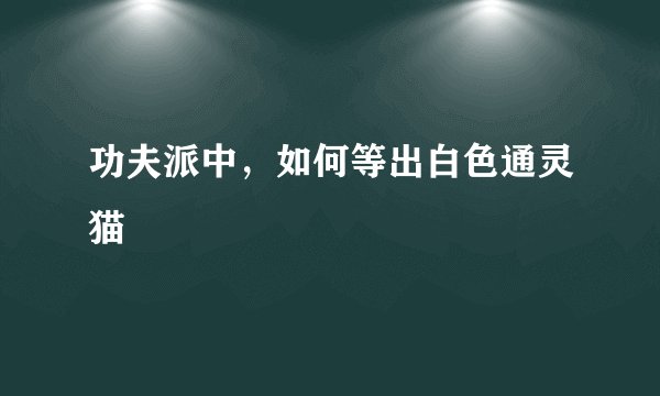 功夫派中，如何等出白色通灵猫