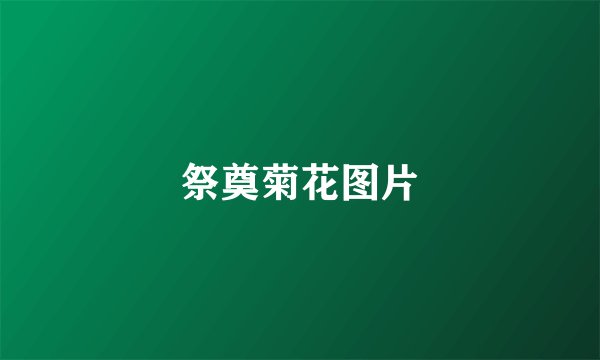 祭奠菊花图片