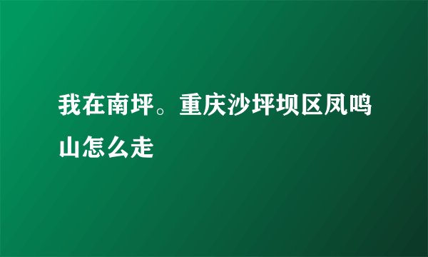 我在南坪。重庆沙坪坝区凤鸣山怎么走