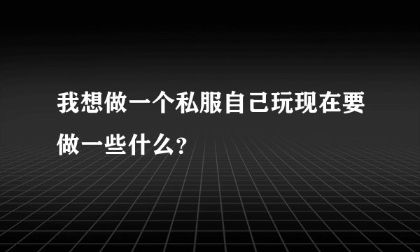 我想做一个私服自己玩现在要做一些什么?