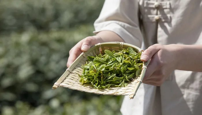 三峡的土特产 长江三峡土特产