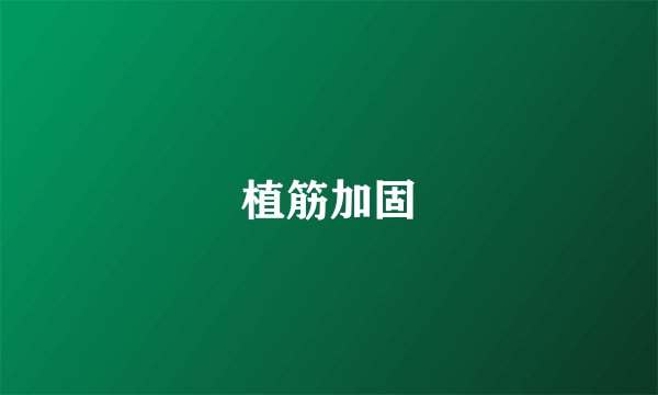 植筋加固