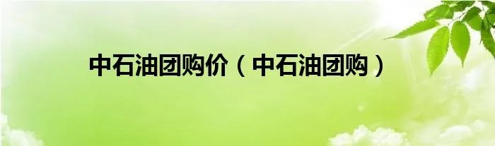 中石油团购价（中石油团购）