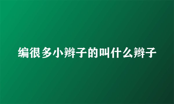 编很多小辫子的叫什么辫子