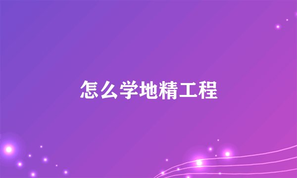 怎么学地精工程
