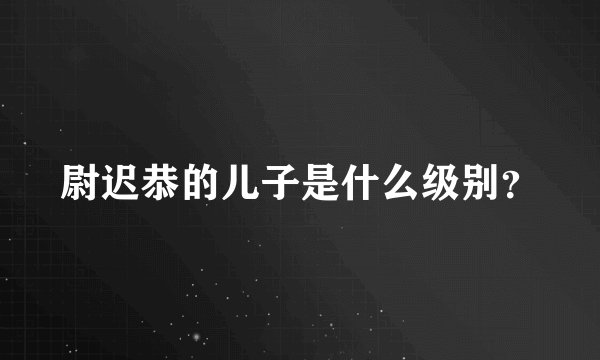 尉迟恭的儿子是什么级别？