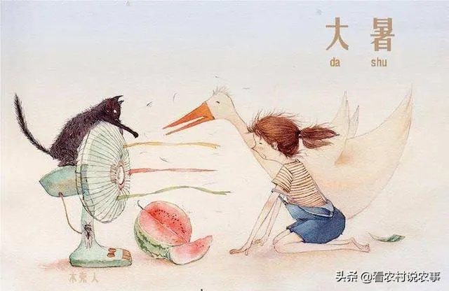 农村老话“大暑凉飕飕,立冬笑死牛”是啥意思?有道理吗?