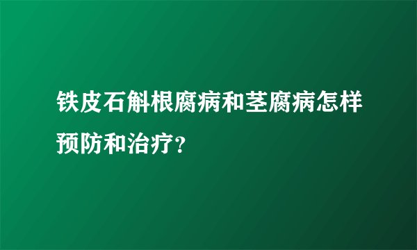 铁皮石斛根腐病和茎腐病怎样预防和治疗？