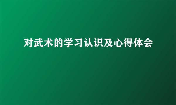 对武术的学习认识及心得体会