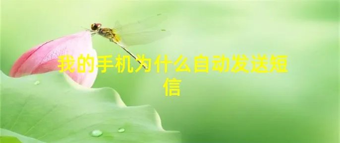 我的手机为什么自动发送短信
