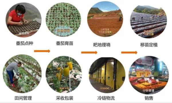 农产品溯源具体是什么?有什么作用?