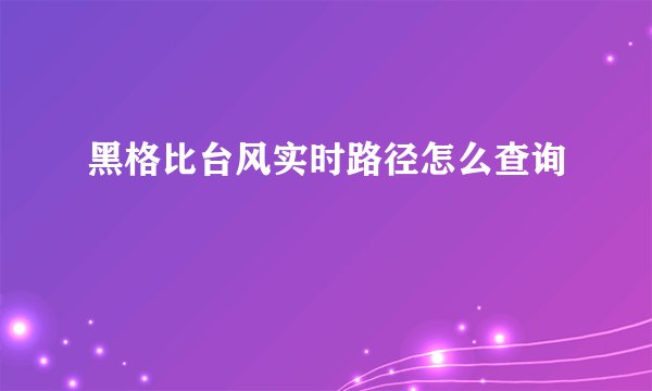 黑格比台风实时路径怎么查询