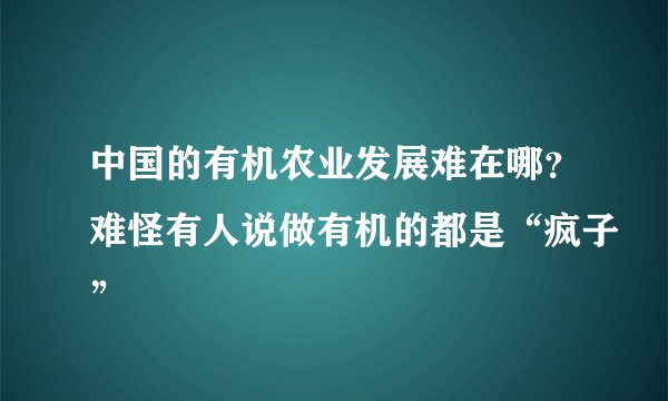 中国的有机农业发展难在哪?难怪有人说做有机的都是“疯子”