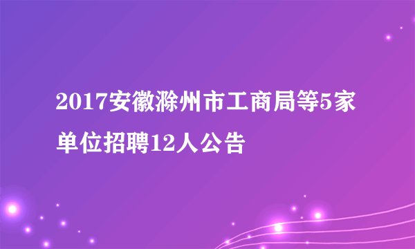 2017安徽滁州市工商局等5家单位招聘12人公告