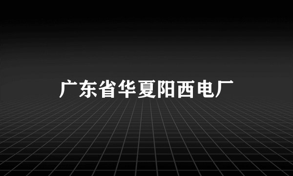 广东省华夏阳西电厂