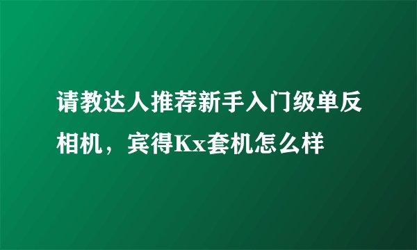 请教达人推荐新手入门级单反相机,宾得Kx套机怎么样