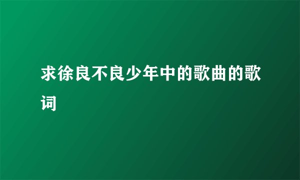 求徐良不良少年中的歌曲的歌词