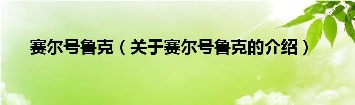 赛尔号鲁克（关于赛尔号鲁克的介绍）