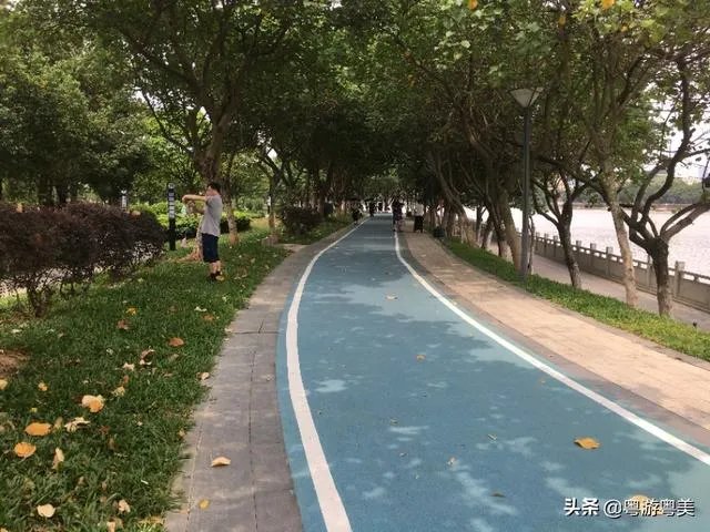 广州从化适合一个人去的地方